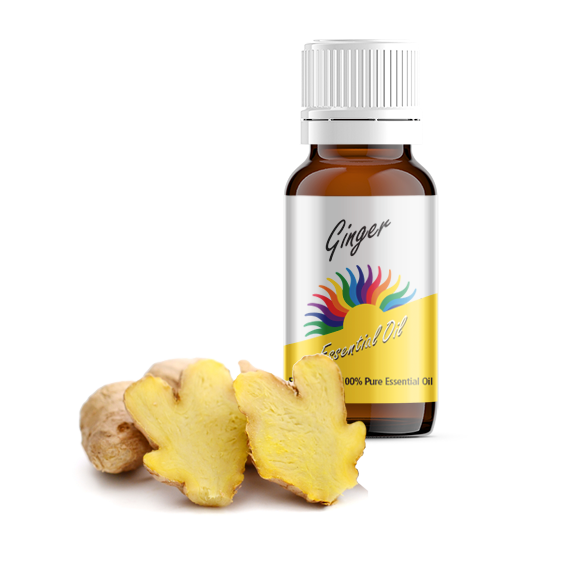 Ginger Essential Oil
