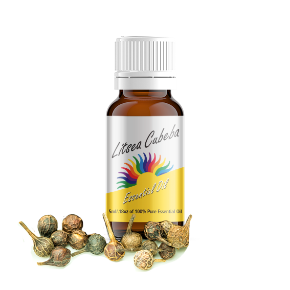 Litsea Cubeba Essential Oil