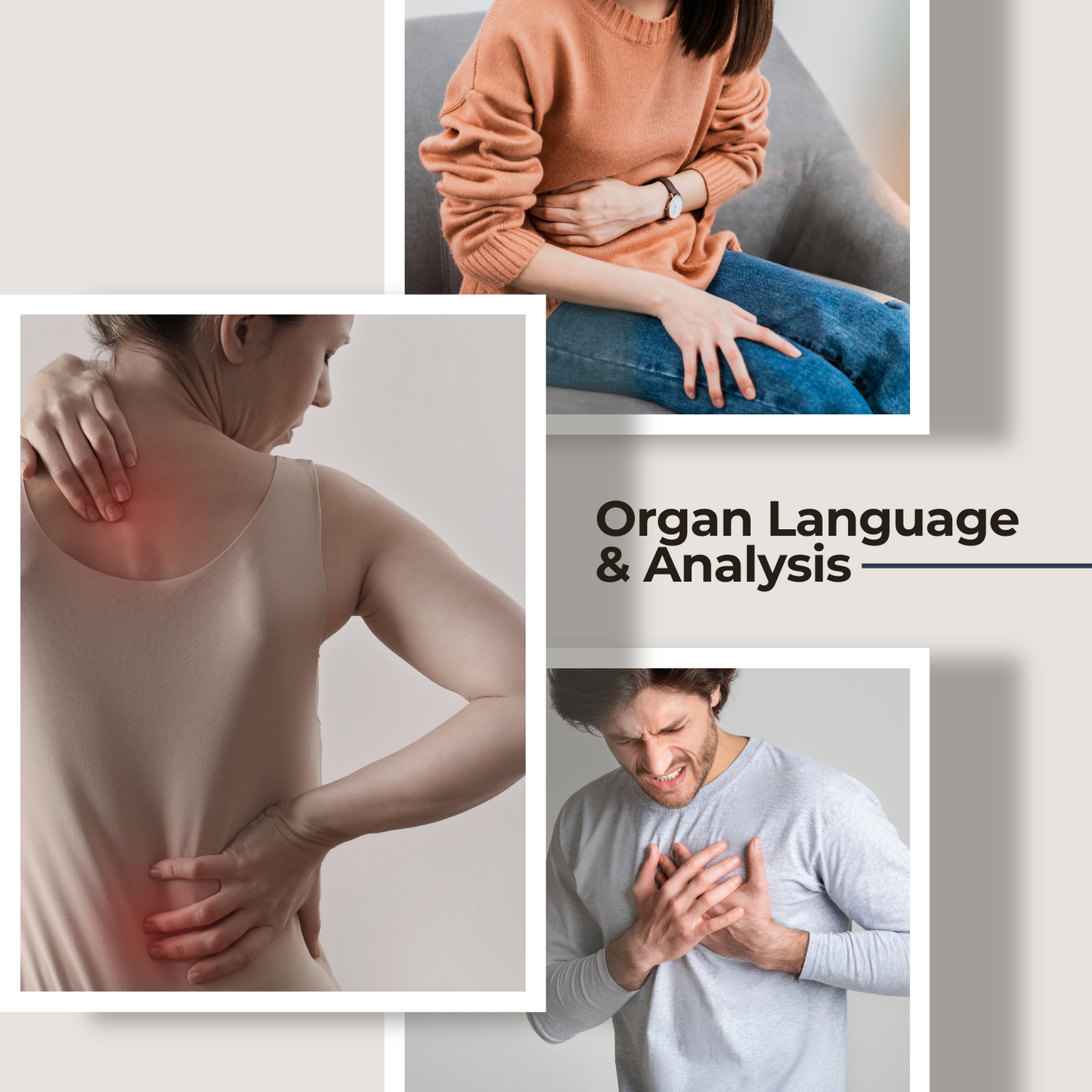 Organ Language & Analysis Program