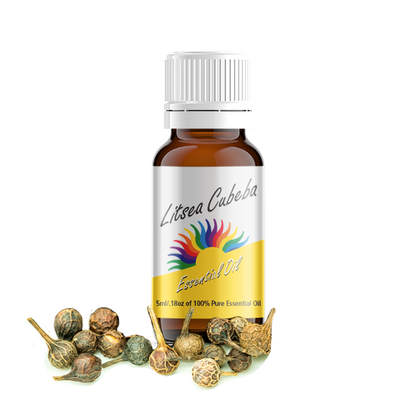 Litsea Cubeba Essential Oil