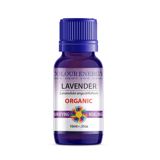 Lavender Essential Oil, Organic