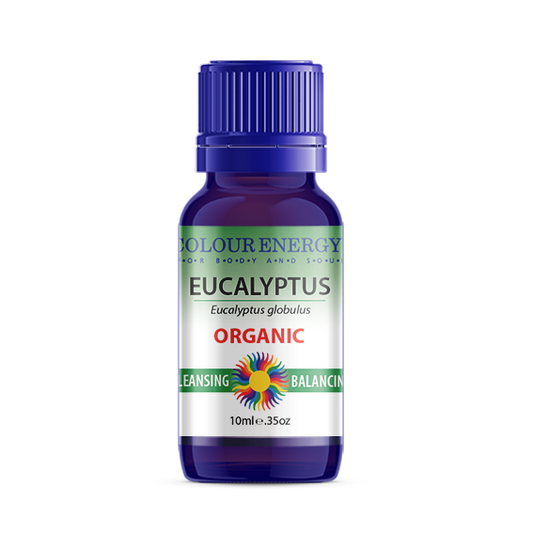Eucalyptus Essential Oil, Organic