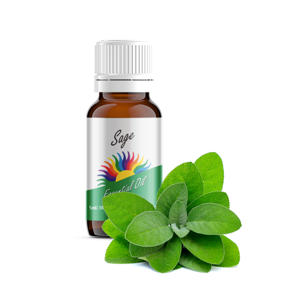 Sage Essential Oil